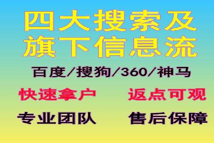 专业SEM服务托管方案案例分析